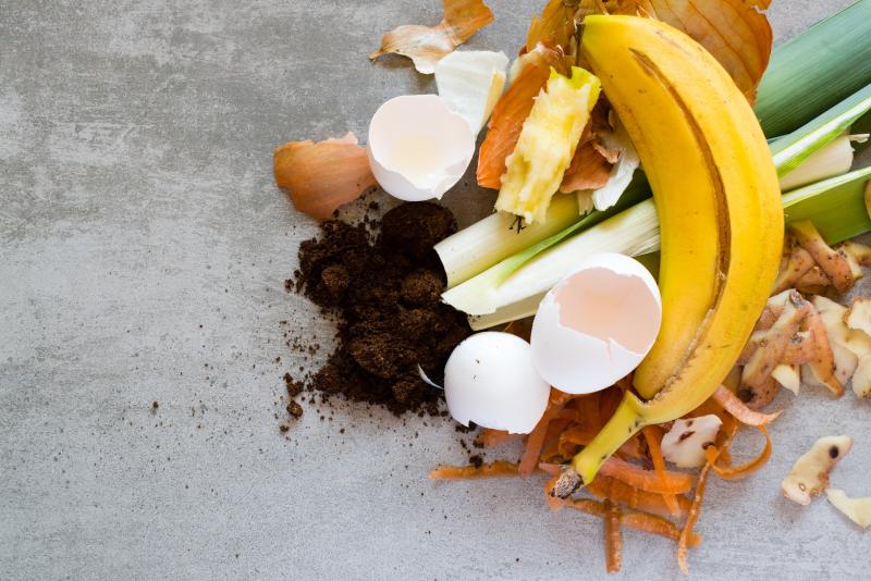 Unwanted leftovers can feed gardens and help close the circular economy loop