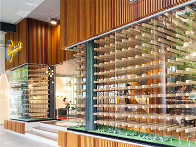 CONWOOD Design Space (CDS)