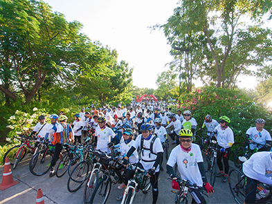 INSEE Green Bike 2015